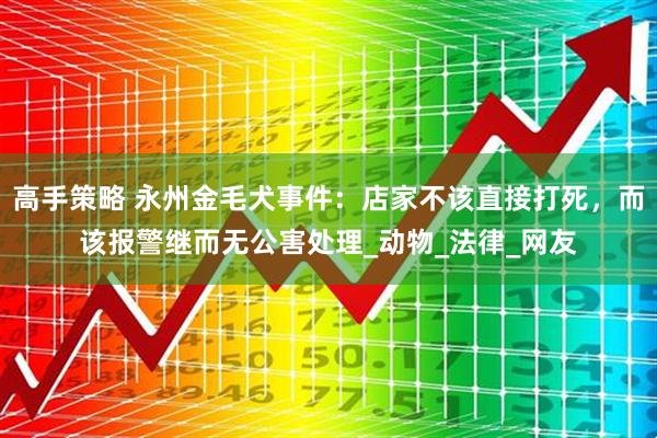 高手策略 永州金毛犬事件：店家不该直接打死，而该报警继而无公害处理_动物_法律_网友